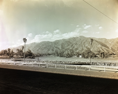 Santa Anita Racetrack. (Spring)